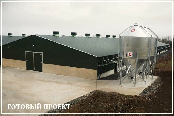 Этапы возведения птицефабрики от завода ВелесТент-блб